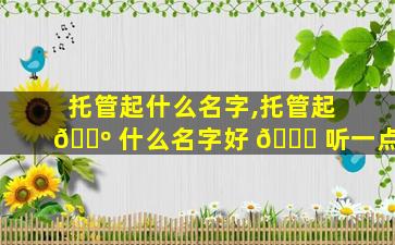 托管起什么名字,托管起 🐺 什么名字好 🐛 听一点